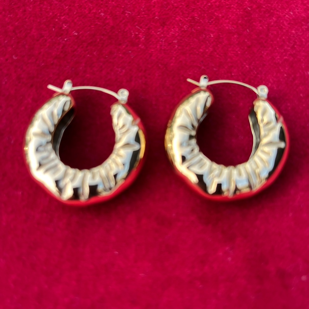 Earring  18K Gold Plated Stainless Steel Hoops